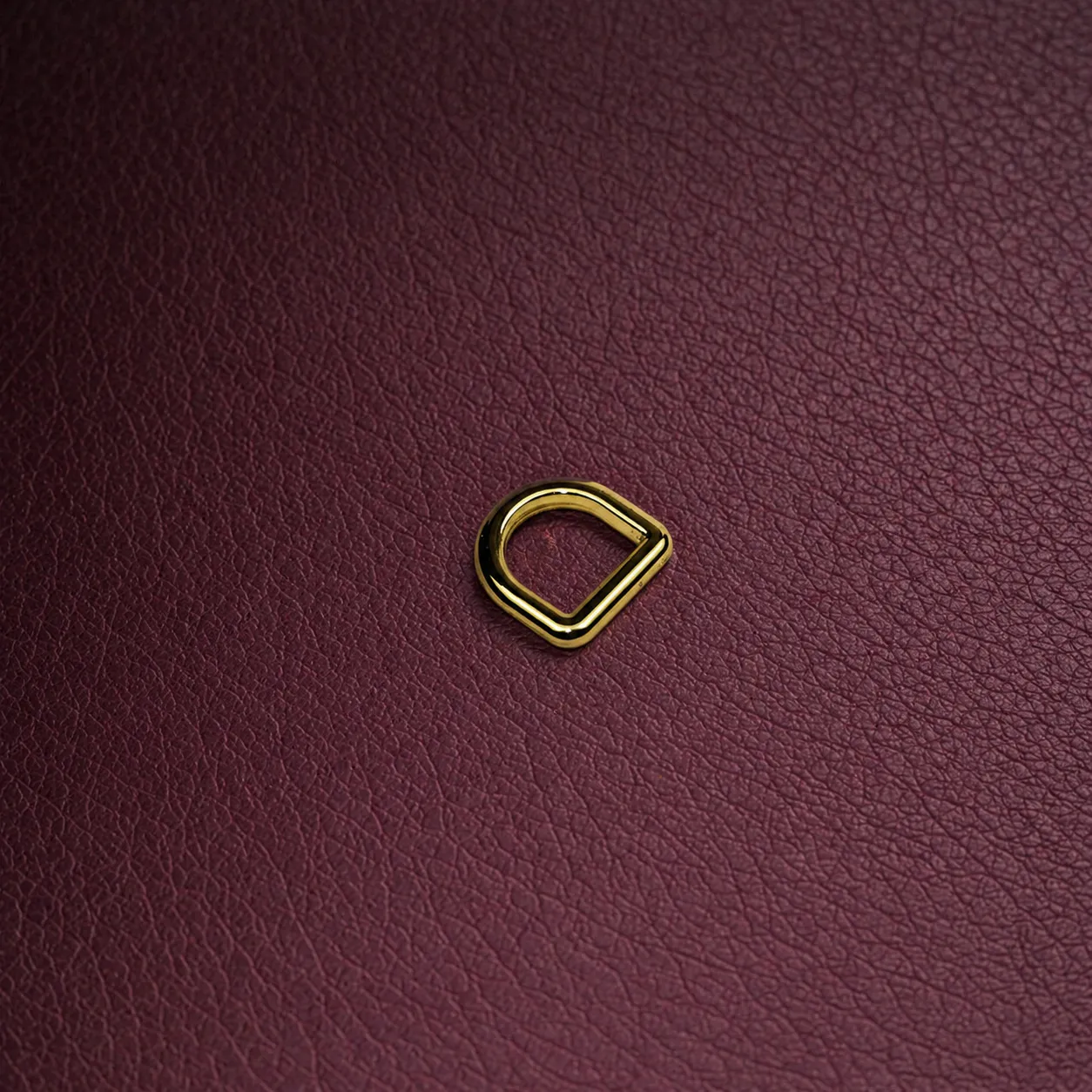 DR-202 metal D-ring